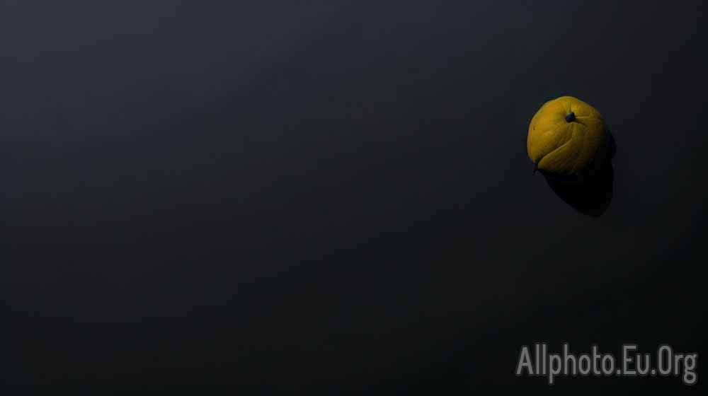 The Art of Minimalism in Photography