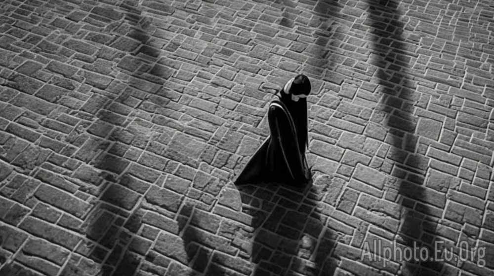 The Role of Shadows in Photography